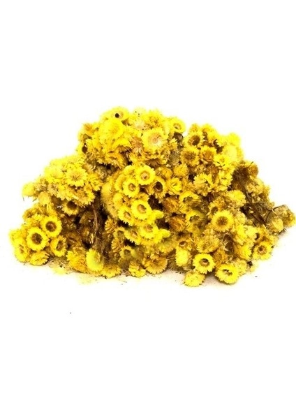 Altın Otu 25 gr